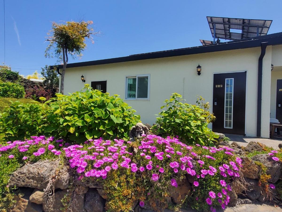 Hanihaus Sinchon-Ri Jeju Dış mekan fotoğraf